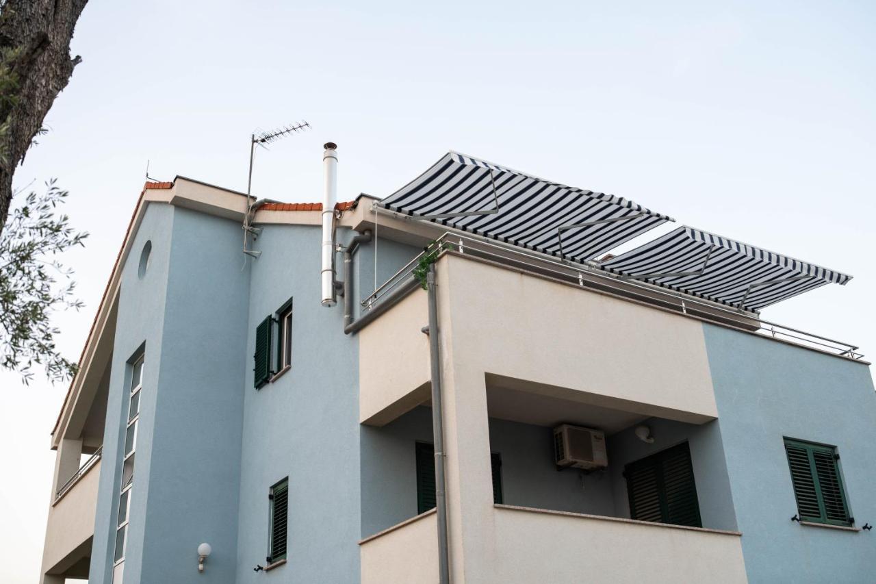 Sunny Beach Apartments شيبينيك المظهر الخارجي الصورة